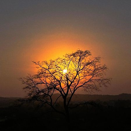 Gir Birding Lodge غابة غير المظهر الخارجي الصورة
