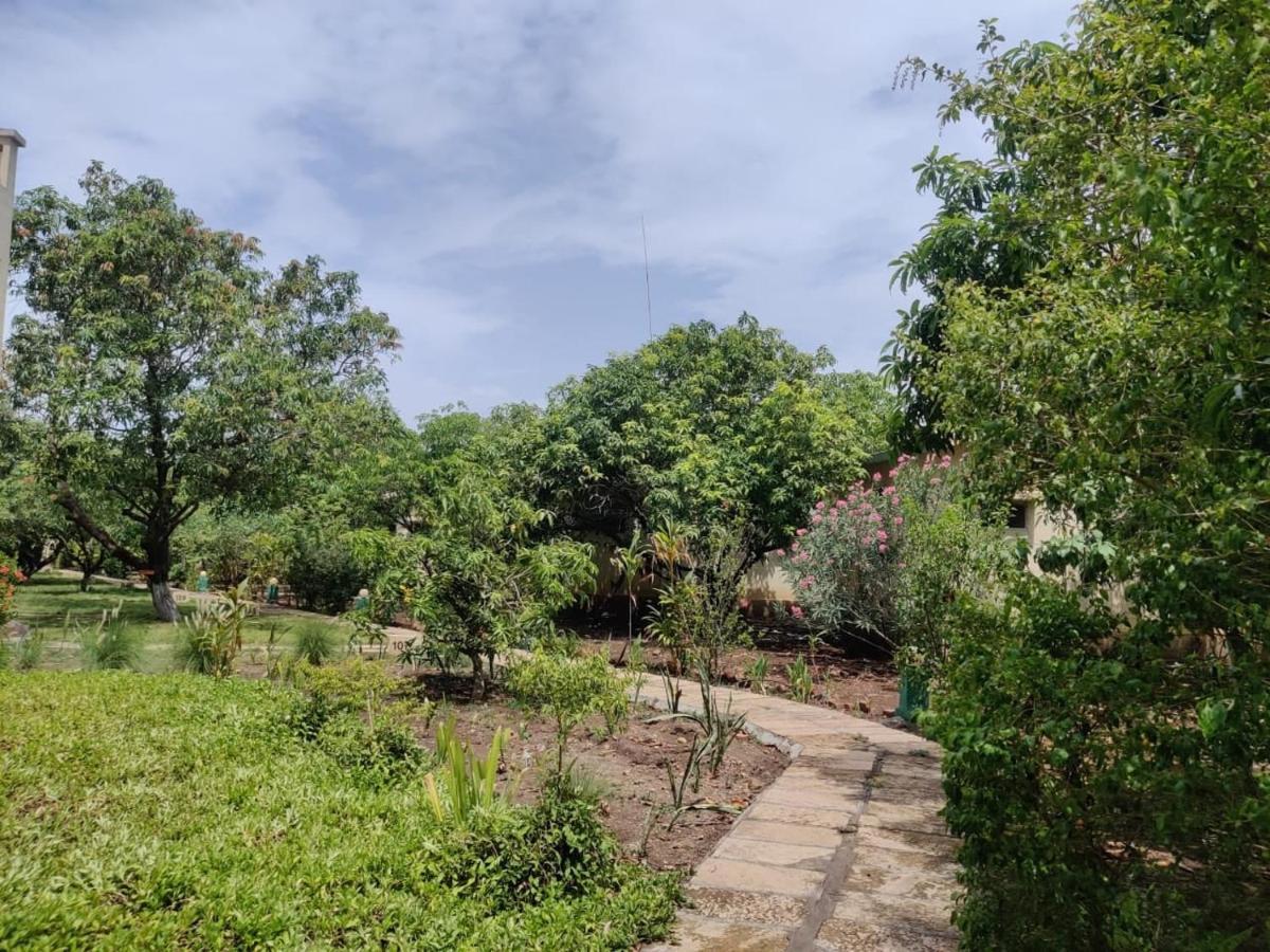 Gir Birding Lodge غابة غير المظهر الخارجي الصورة