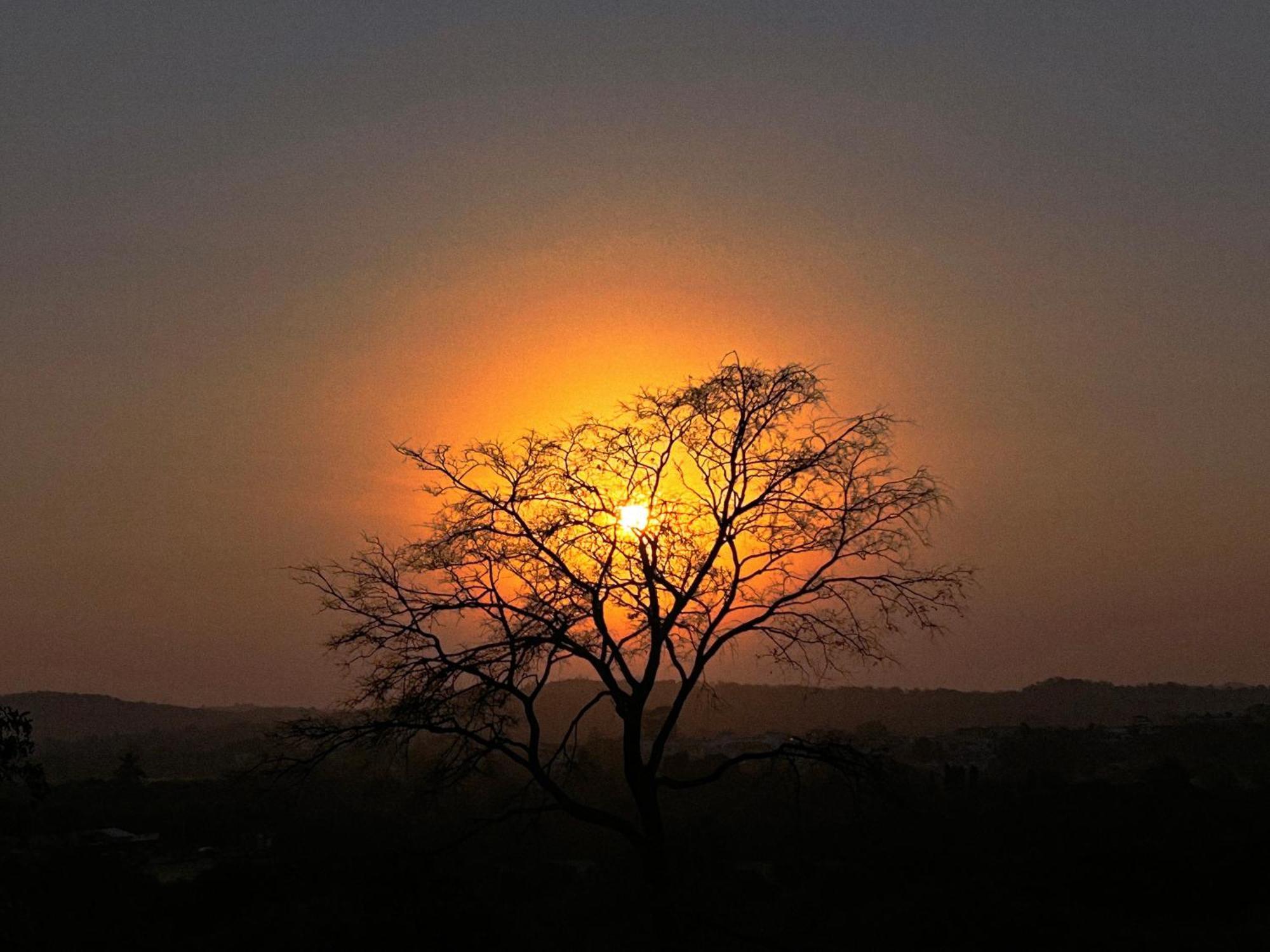 Gir Birding Lodge غابة غير المظهر الخارجي الصورة